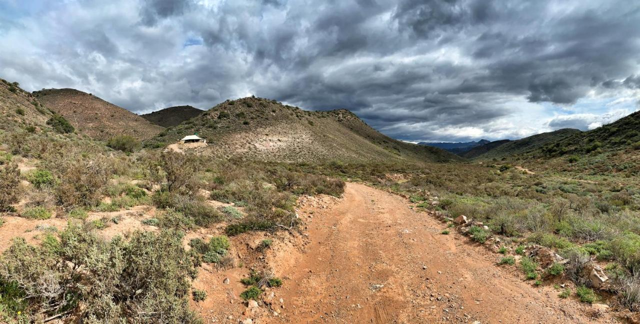 Grysbokkloof Private Nature Reserve Luxury Glamping 6km From Montagu